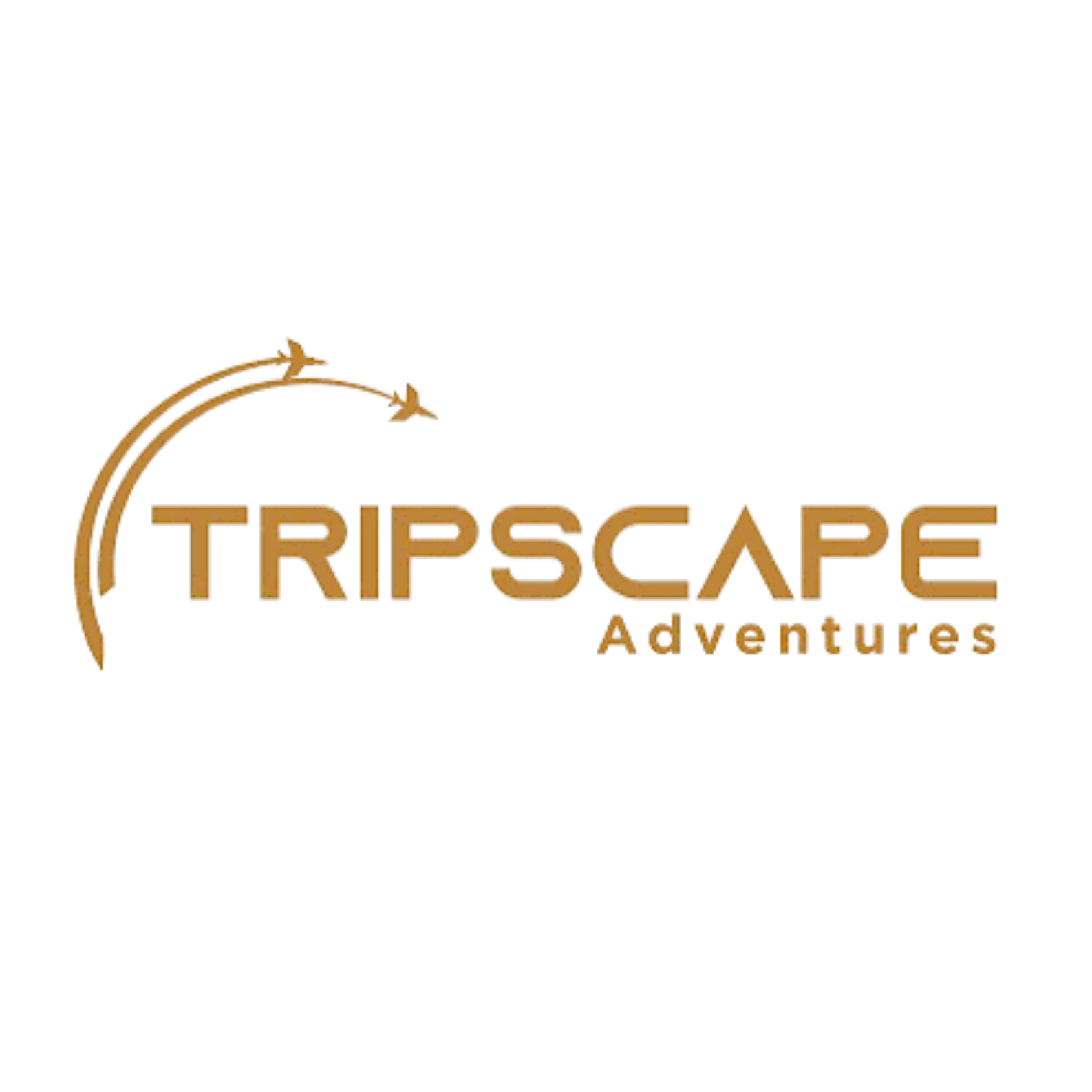 Tripscape Tourism