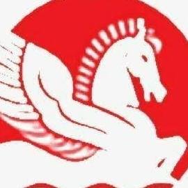 Singhal Industries